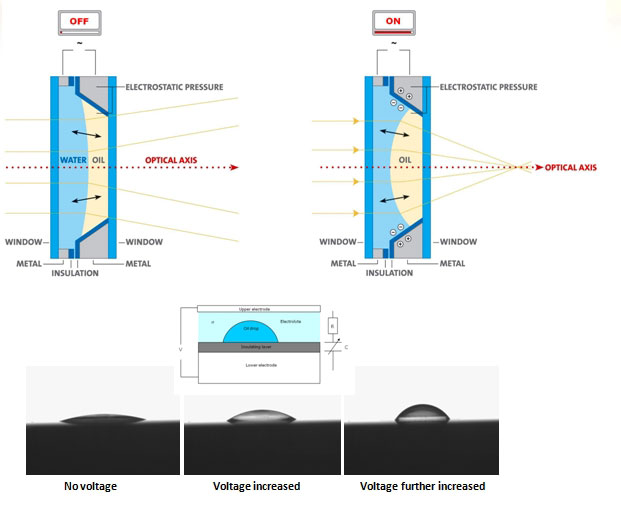 Liquid Lens Principle Liquid Lens Principle